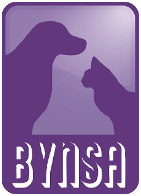 Bynsa