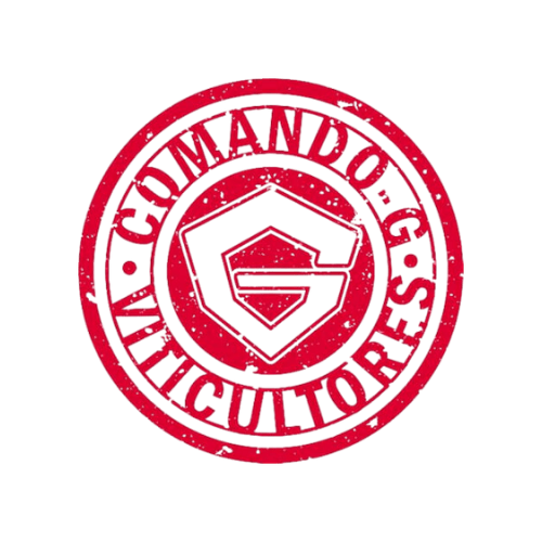 Comando G